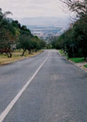 Estrada